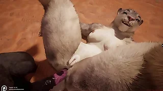 Full Fuck Videos 13